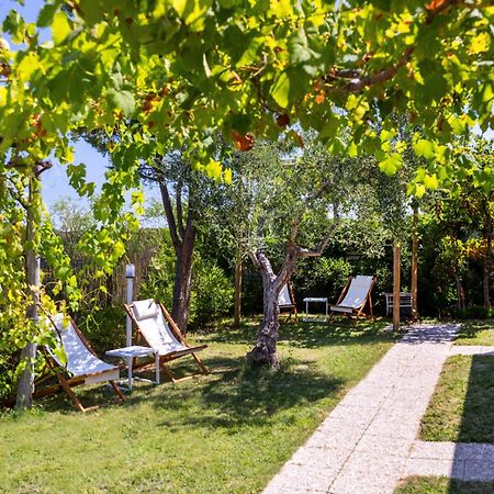Aria Di Mare Vieste - Luxury Apartments By The Sea 외부 사진