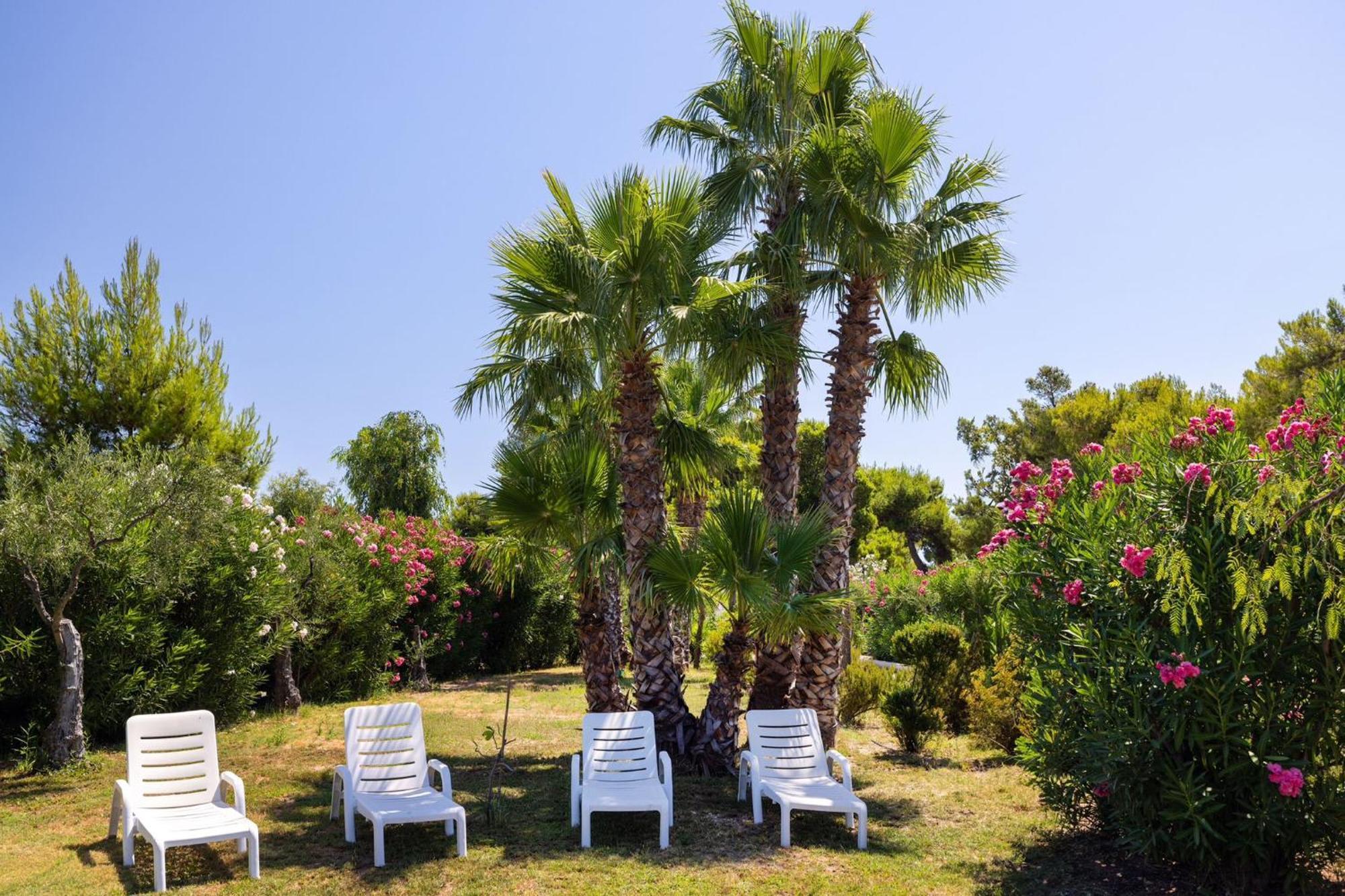 Aria Di Mare Vieste - Luxury Apartments By The Sea 외부 사진